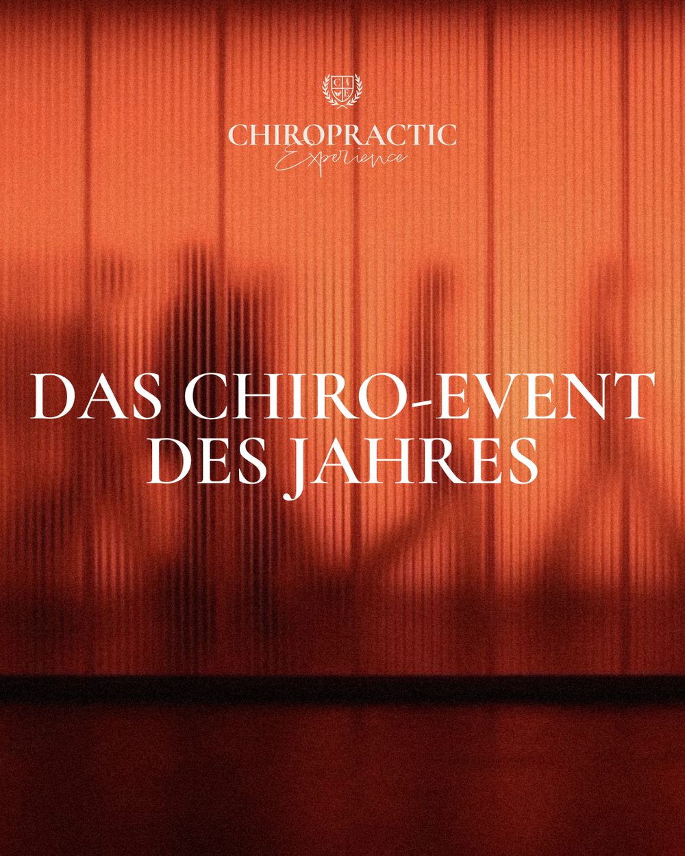 Chiropractic Experience 2026